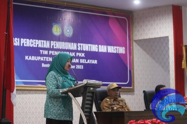 TP PKK Kepuluan Selayar, Perkuat Peran Kader Posyandu Melalui Sosialisasi Percepatan Penurunan Stunting