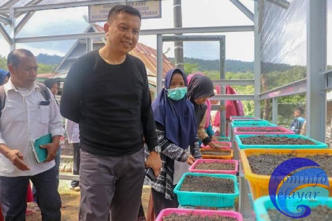 Lagi, Bupati Kepulauan Selayar Tinjau Kebun Bibit P2L 