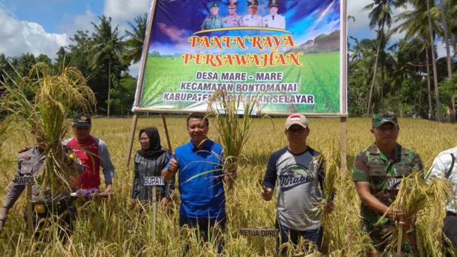 Bupati Kepulauan Selayar Panen Raya Padi di Desa Mare-Mare 
