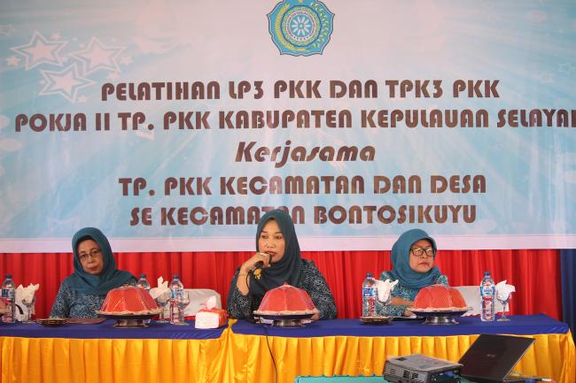 Selayar Terima Penghargaan APE Dari Pemerintah Pusat