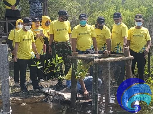 Hut ASDP, Bupati Basli Ali tanam Pohon Mangrove