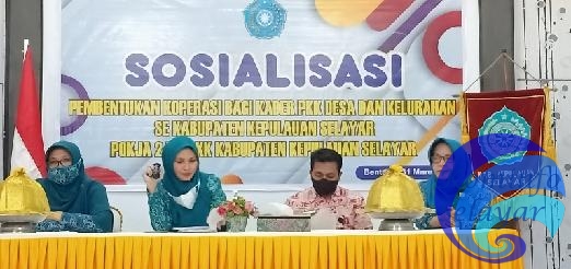 TP PKK Selayar Sosialisasi Tentang Pembentukan Koperasi Bagi Kader PKK Desa dan Kelurahan