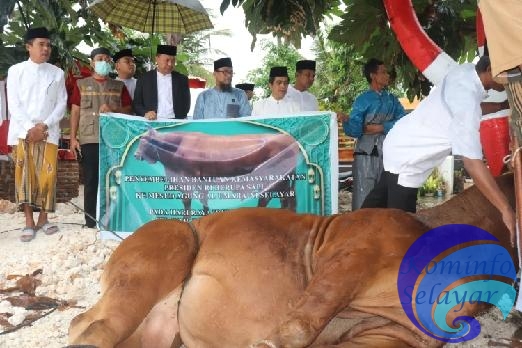 Bupati dan Wabup Selayar Pantau Penyembelihan Hewan Kurban Bantuan Presiden RI