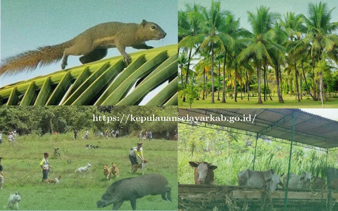 Desaintanpajudul_20250729_155759_0000_copy_1280x801.jpg